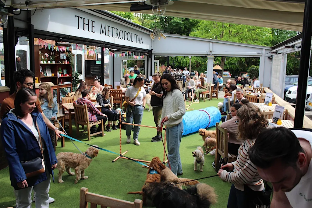 Manchester Dog Social at Layla's Cafe