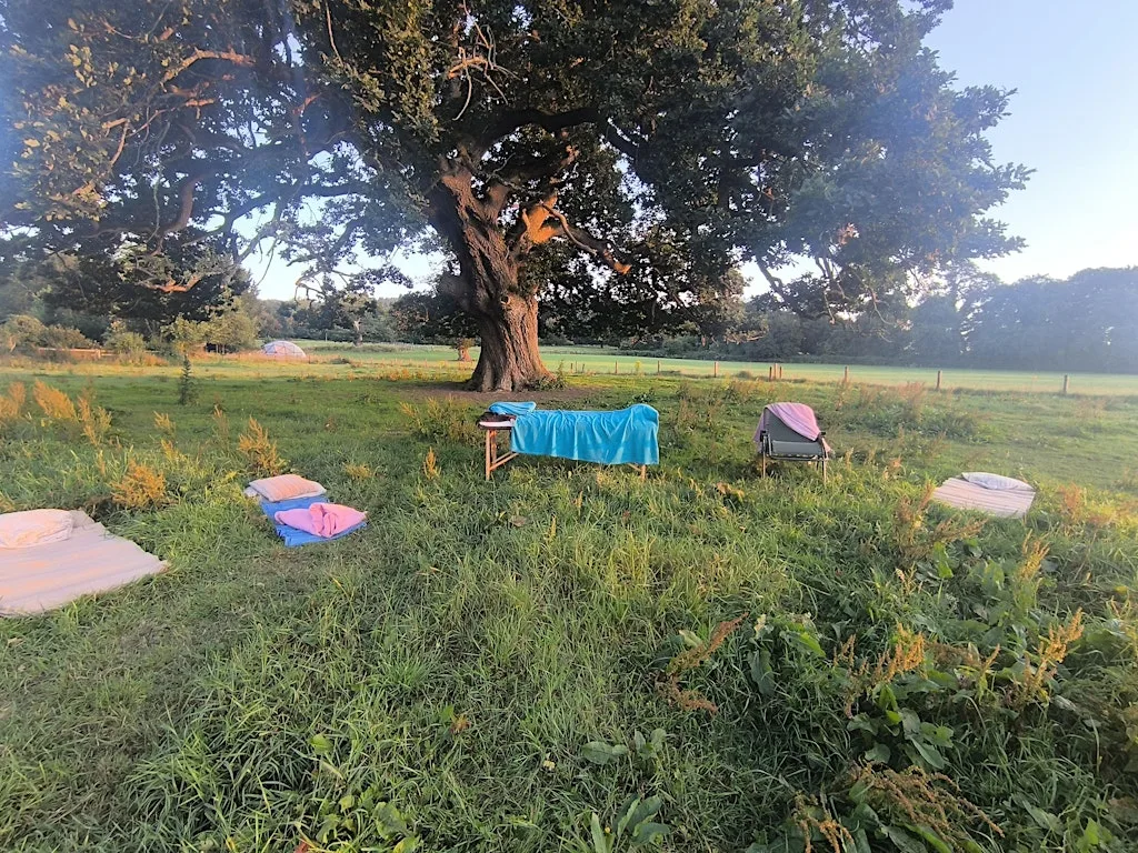 Centre and Focus, a nature based wellness retreat. at R32 V00X