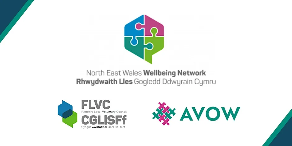 FLVC/AVOW Health and Wellbeing Network Meeting