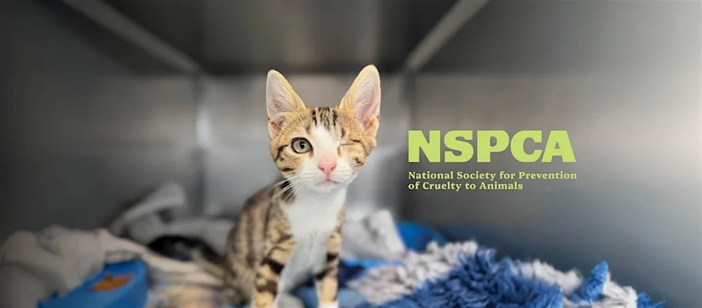 The Big Stretch at the NSPCA, August 2026
