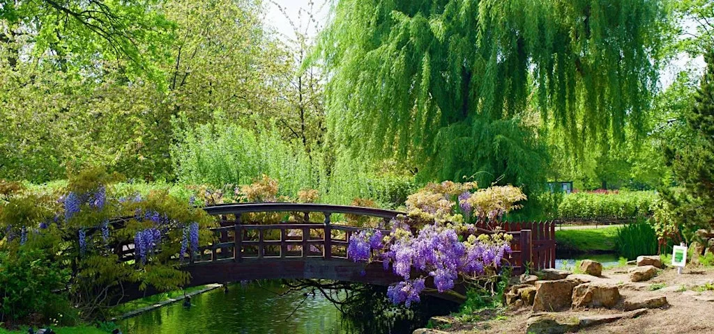 Family Guided Tour of Regent's Park