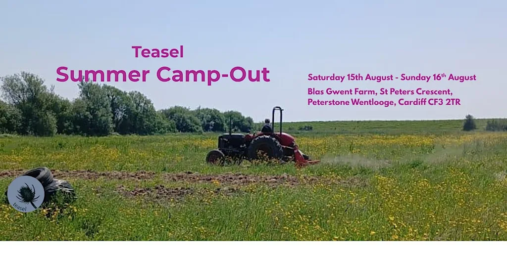 Teasel Summer Camp Out at Blas Gwent Veg
