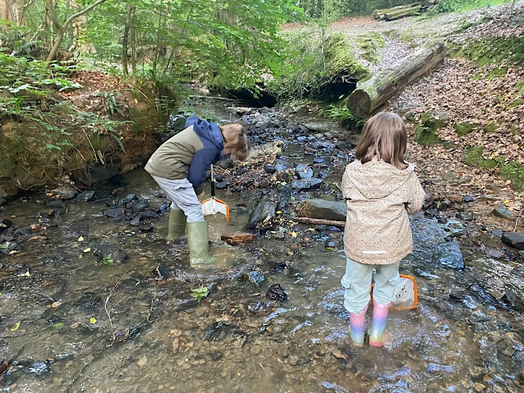 Free Summer Family Activities: Water Detectives - Tunbridge Wells at Grosvenor & Hilbert Park