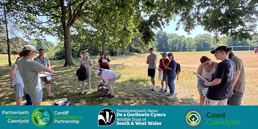 Introduction to summer tree identification with WTSWW & Coed Caerdydd at Heath Park
