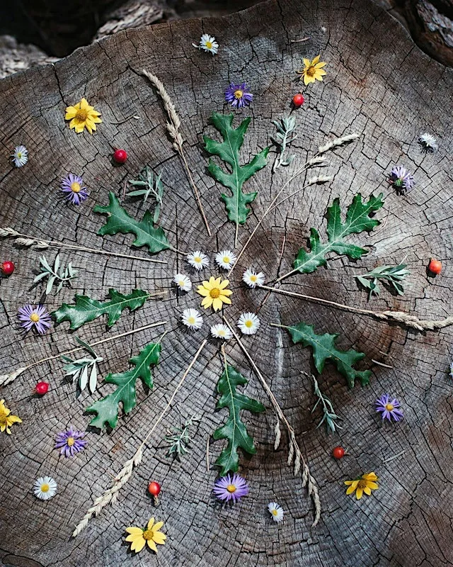Free Summer Family Activities: Flow & Create - Maidstone at Mote Park
