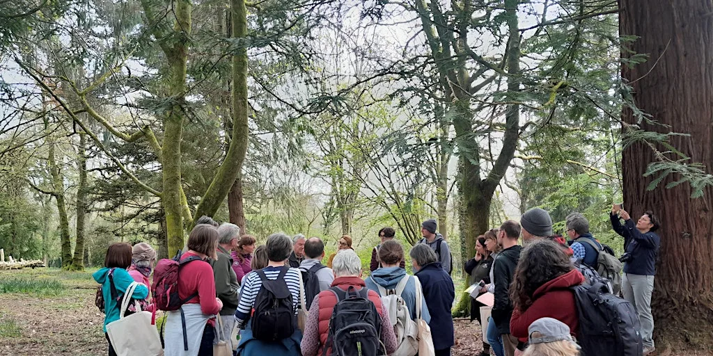 Woodland Trust Ancient Tree Inventory Mapping at Forest Farm Country Park