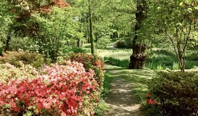 Walk: Trent Park and the Japanese Water Garden