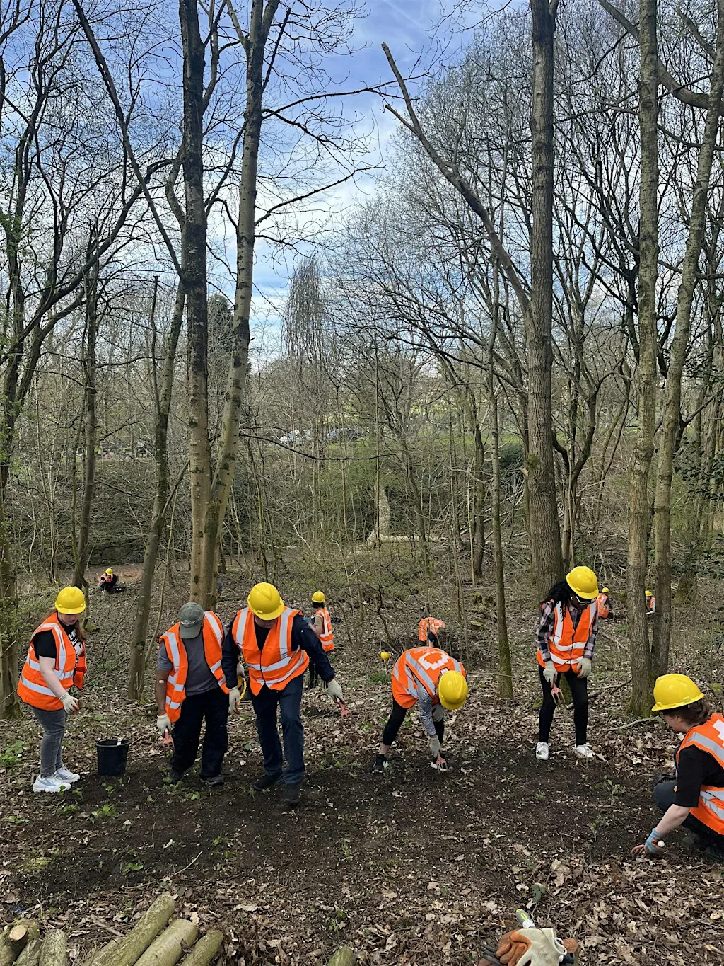 Woodland Green Skills: Woodland Management at Hatchett's Wood, Manchester at Hatchetts Wood