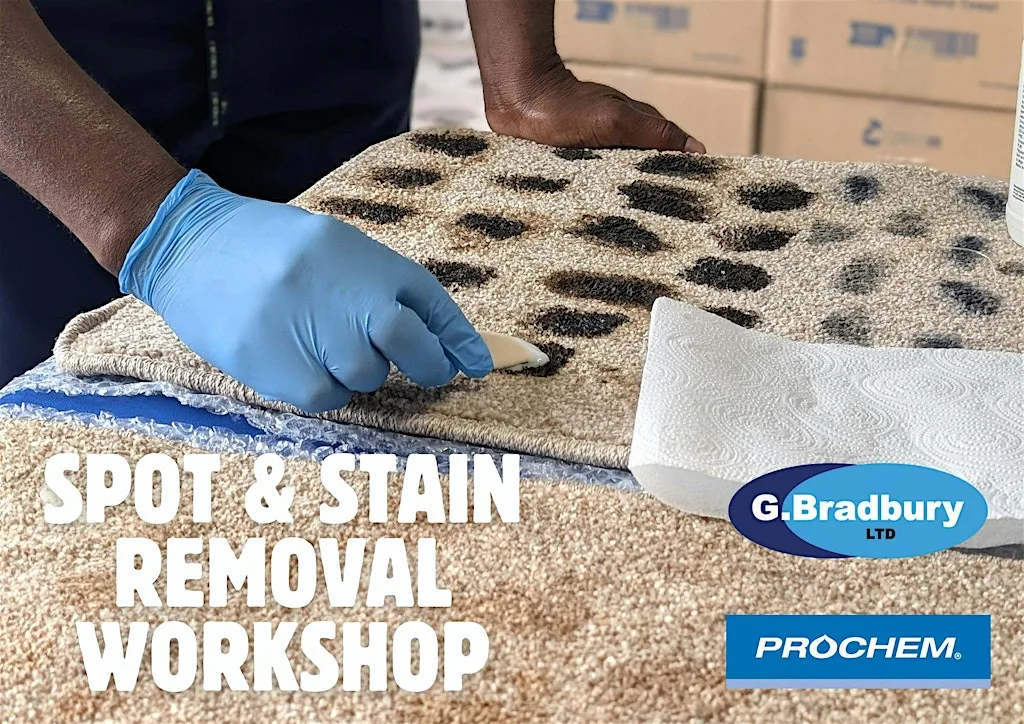 Spot & Stain Workshop