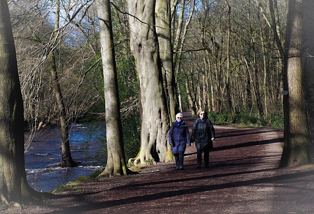 Of Quarns, Dragons and Gannister Kings at Wantley Avenue