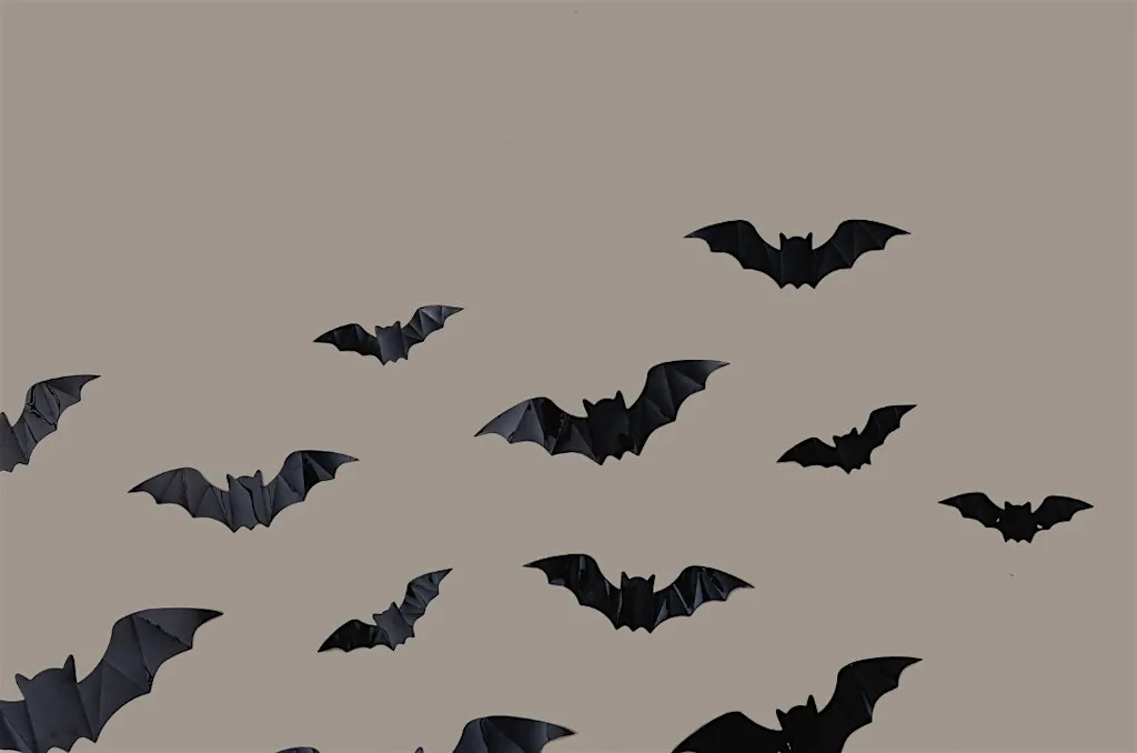 Bat Walk with the Norwich and Norfolk Bat Group at Wheatfen Nature Reserve