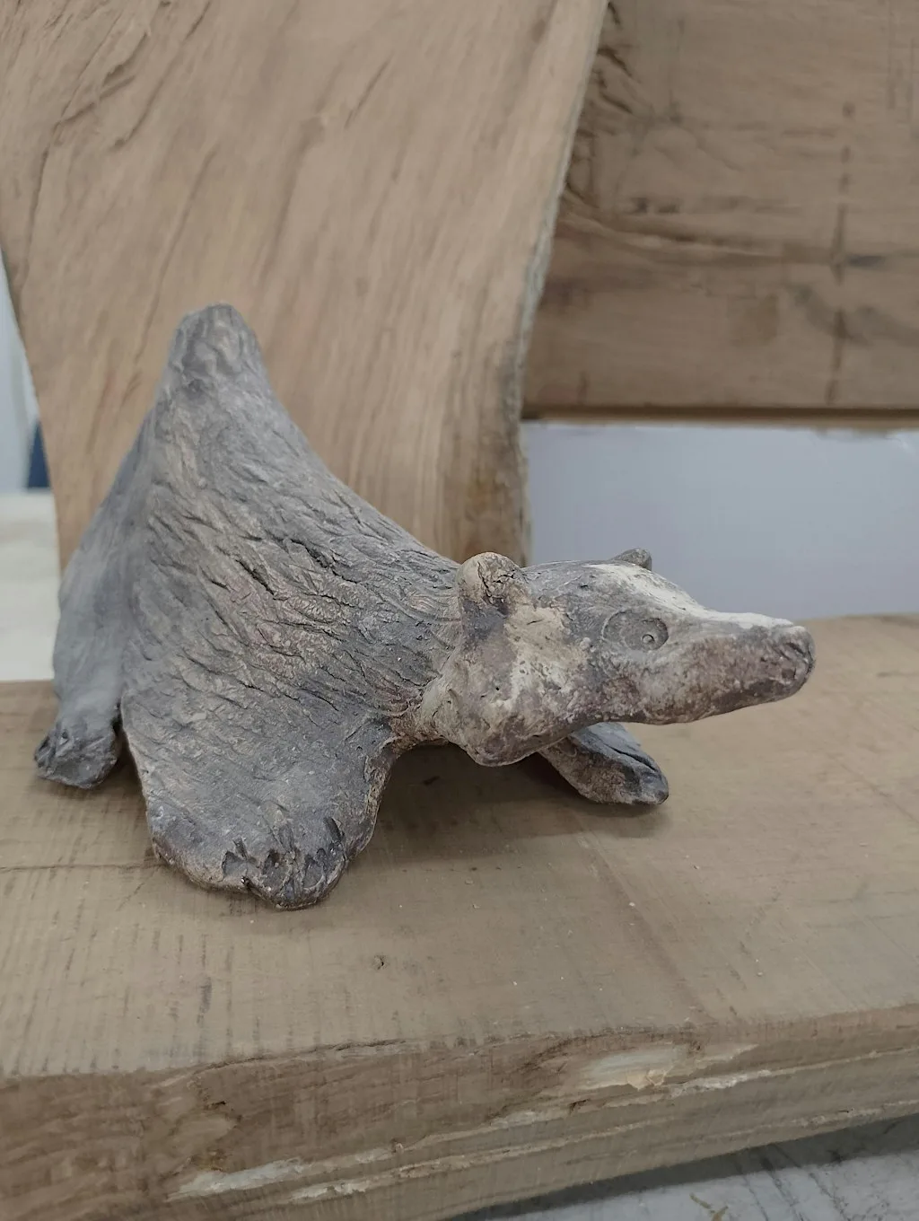 Make Clay Animals with Lawrence COAST Funded by Swansea Council