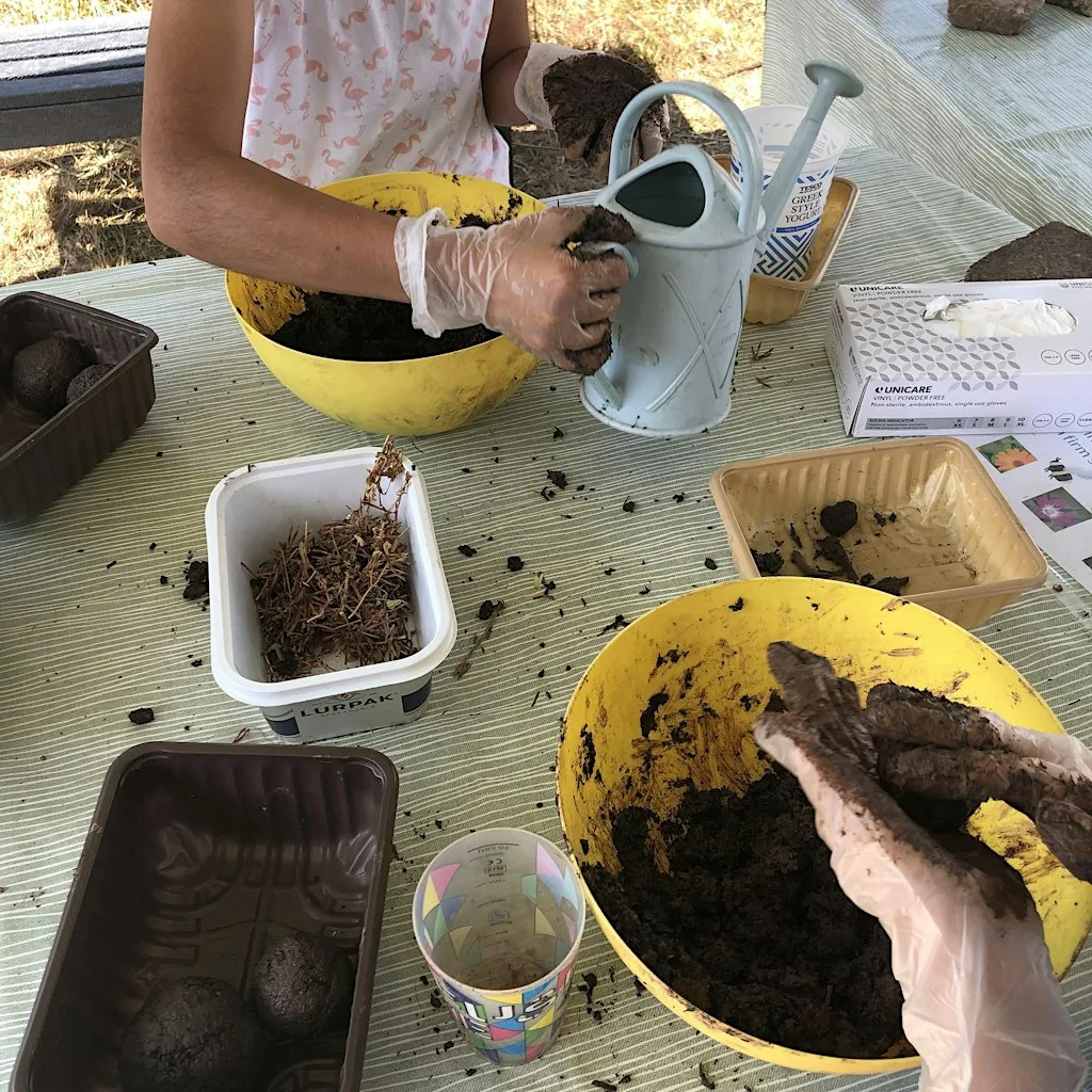 Make Seed Bombs to help Bees and Butterflies at Emmanuel Hall