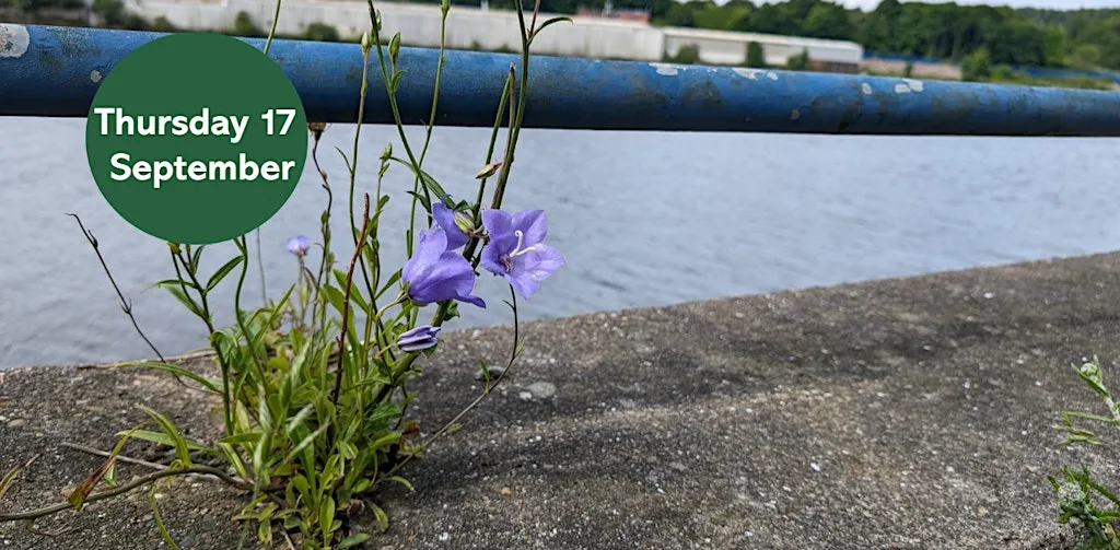 Ouse Burn Way: Exploring Urban Plants at The Cycle Hub