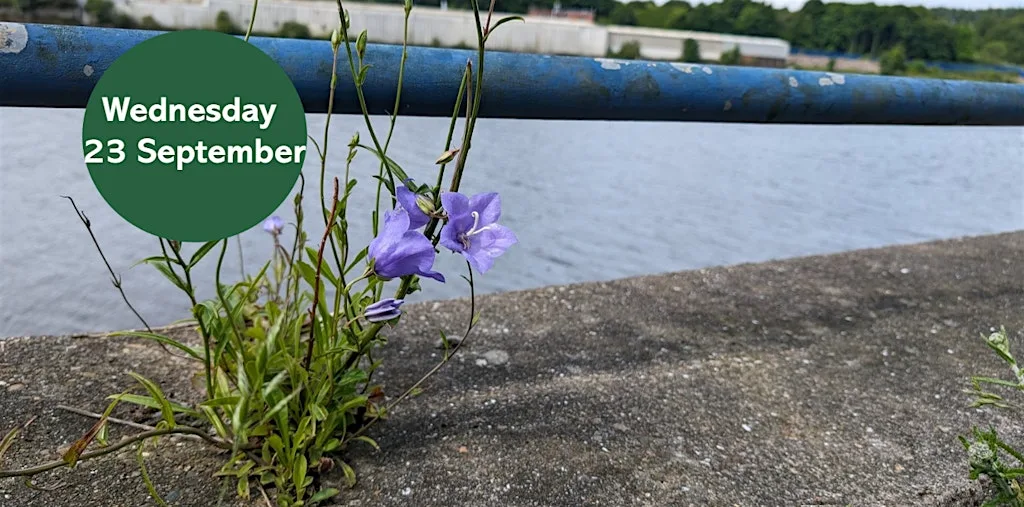 Ouse Burn Way: Exploring Urban Plants at Star And Shadow Cinema