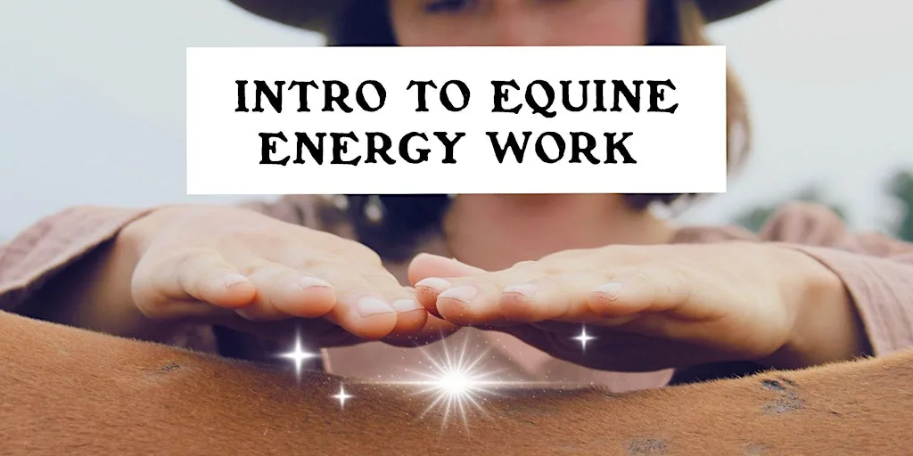 Intro to Equine Energy Work at Rachel's Farm