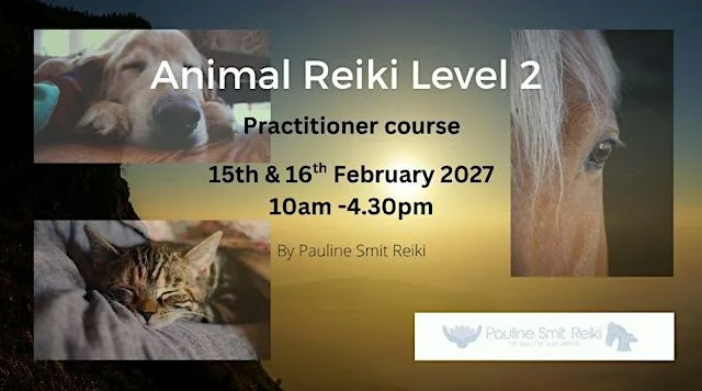 Animal Reiki level 2 (practitioner) (2 days) at Pauline Smit Reiki