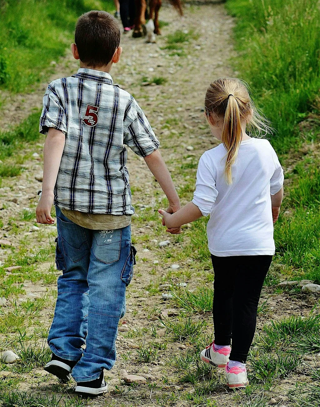 Morning Family Nature Walk at Hothfield Heathlands Ashford at Hothfield Heathlands Nature Reserve