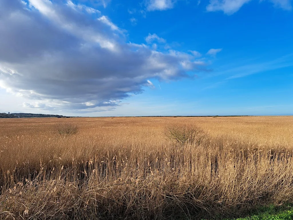 Creative writing outside - Autumn block 1 at Cley Marshes Visitor Centre