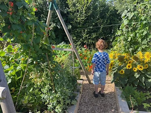 Wild about Pollinators at 22 Welbury Ave
