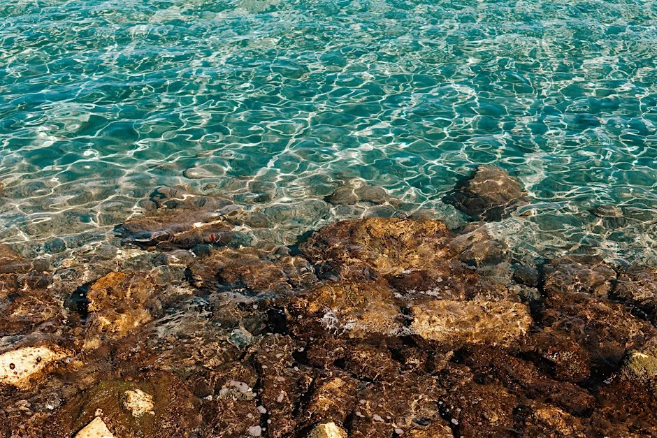 Shell we drink? Wines from Ancient Sea Beds at Theatre of Wine