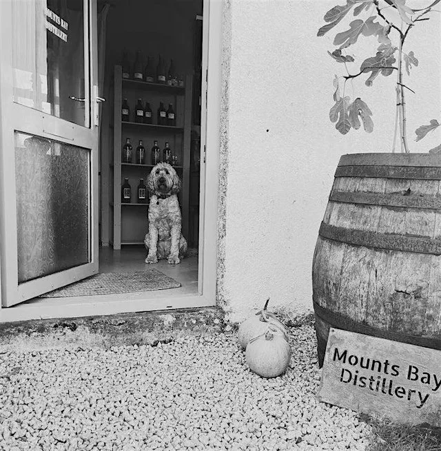 Mounts Bay Distillery Tour & Tasting