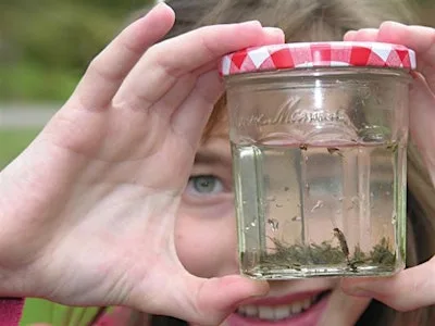 Antur Afon Taff || The River Taff Shuffle at Bute Park Visitor Centre