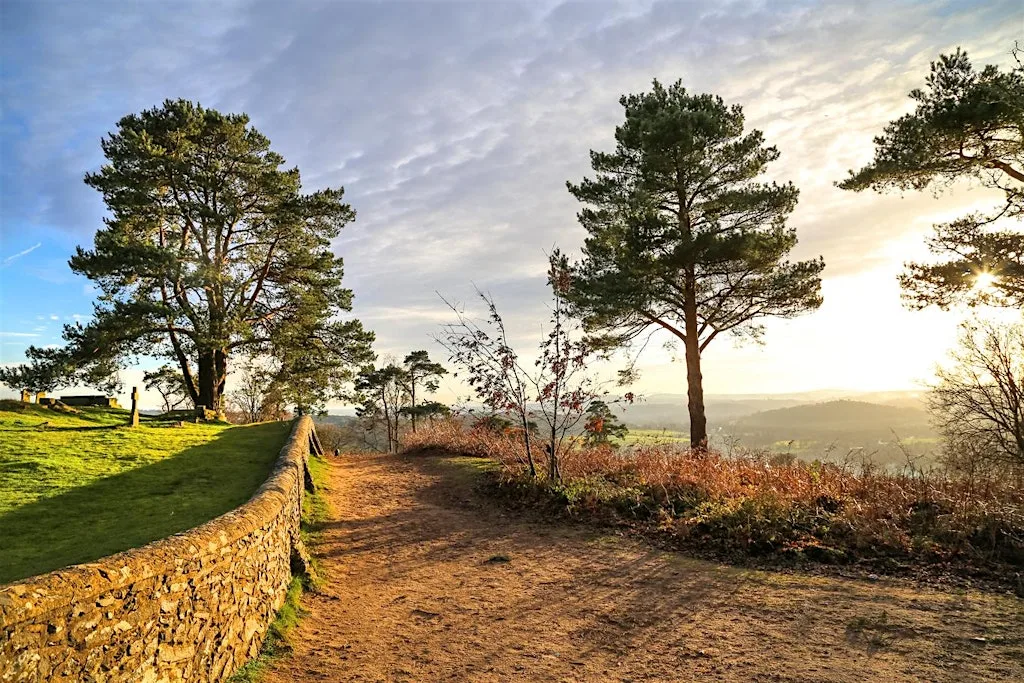 18km Canals, Sandy Trails and Medieval Churches of the Surrey Hills Woods at Waterloo Station