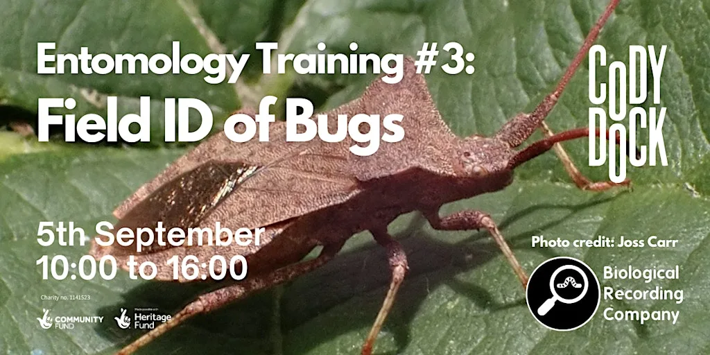 Entomology Training #3: Field ID of Bugs at Cody Dock