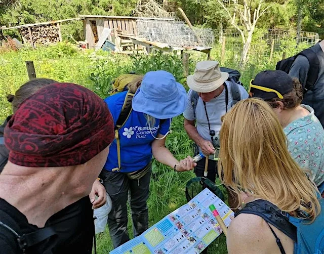 Beginner's Bumblebee Identification Workshop at Dalnacardoch