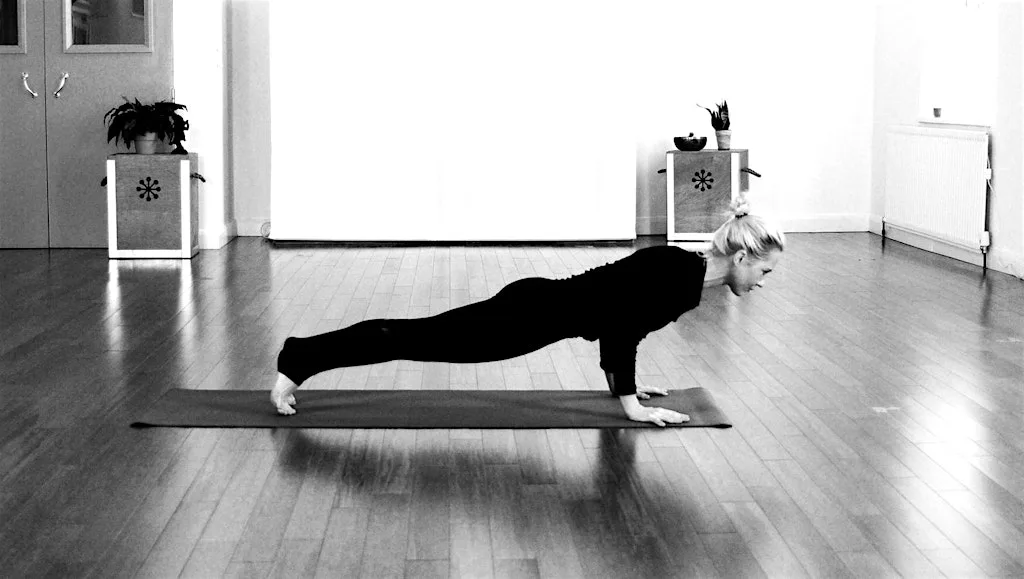 Chaturanga Lab: Updog- Downdog! at Heather Yoga