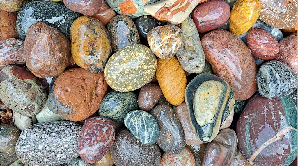 Geology walk at St Cyrus National nature reserve at St. Cyrus National Nature Reserve