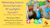 Meaningful Maths: Making Sense of Number in Progression Step 1