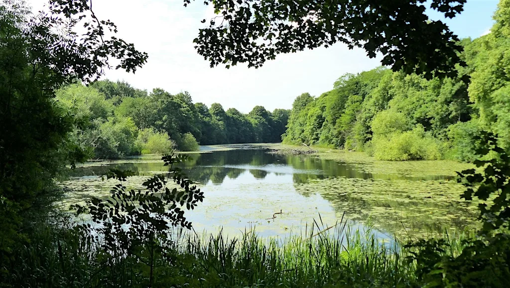 Colwick Country Park Wildlife & Wellbeing Walk at River Road