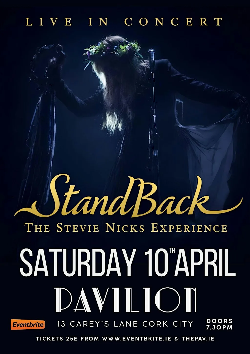 Standback' - The Stevie Nicks and Fleetwood Mac Experience - (Live) at The Purty Kitchen