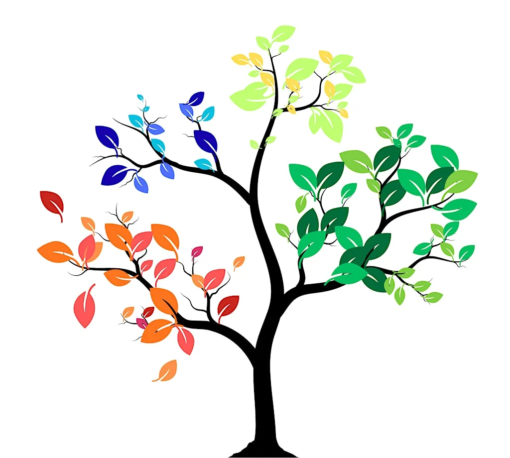 CIRCLE OF LIFE workshop