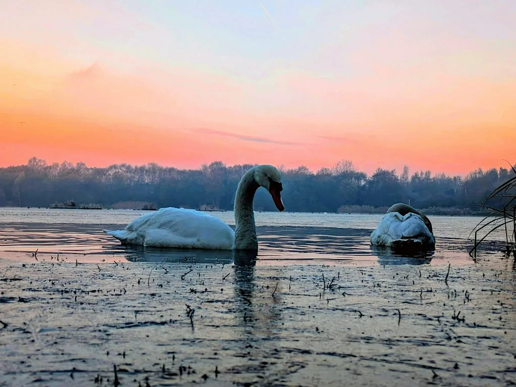 Mindful photography walk at Blackleach Country Park