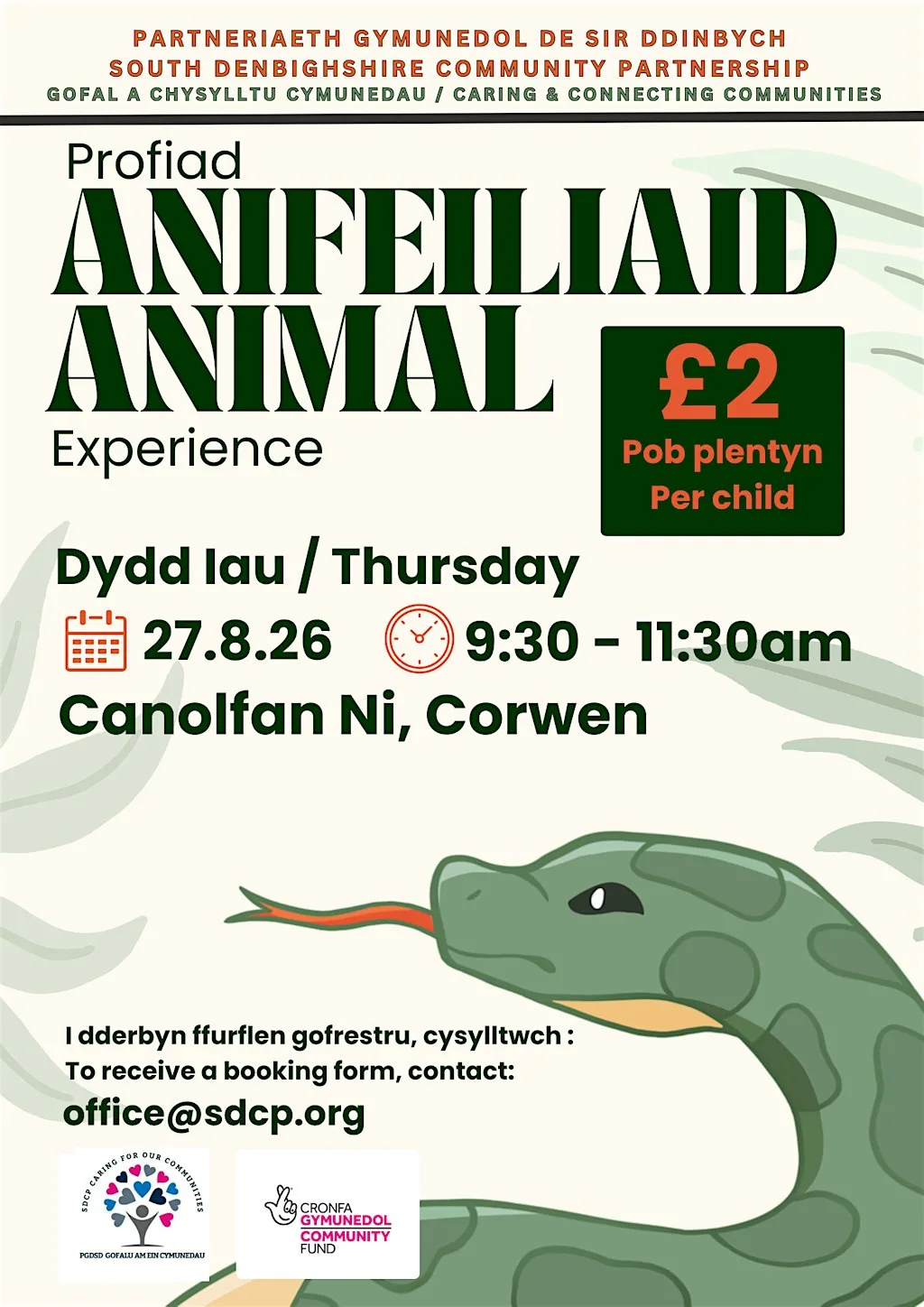 Profiad Anifeiliaid / Animal Encounters - Corwen