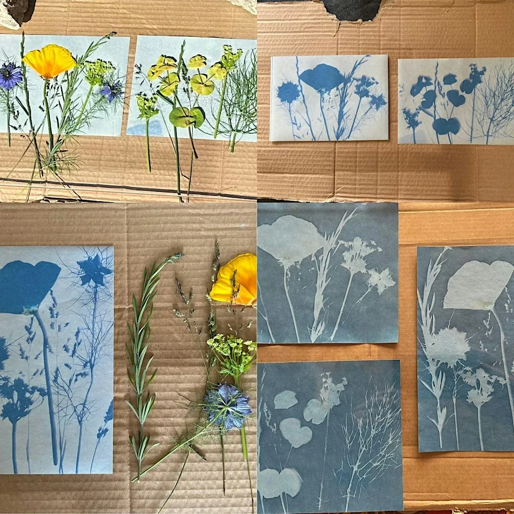Cyanotype print workshop 1 - Ely/Caerau at Our Place : Dusty Forge (ACE - Action in Caerau & Ely)