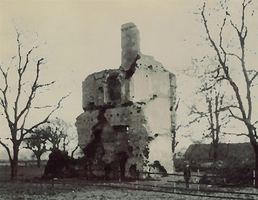 Guided walk to Daisy Bank and Barton Court Ruin at Abbey Fishponds Nature Reserve