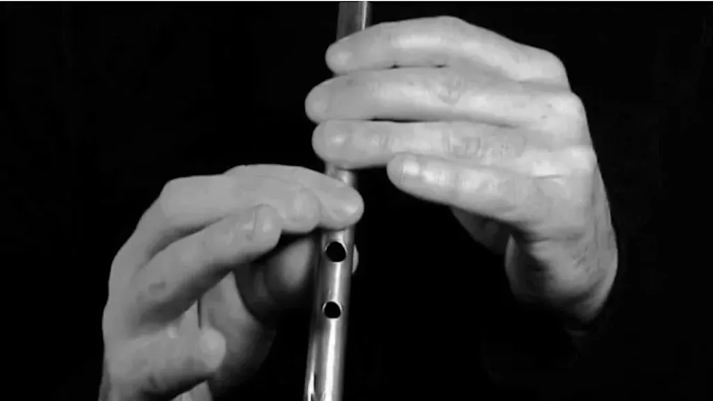 Tin Whistle Workshop - Tom Gavin at St Oliver's Community College (A92 D766)