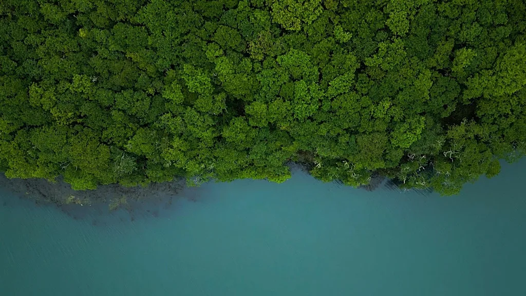 Ocean-forest connections research workshop at ESI Trevithick Room, Penryn Campus