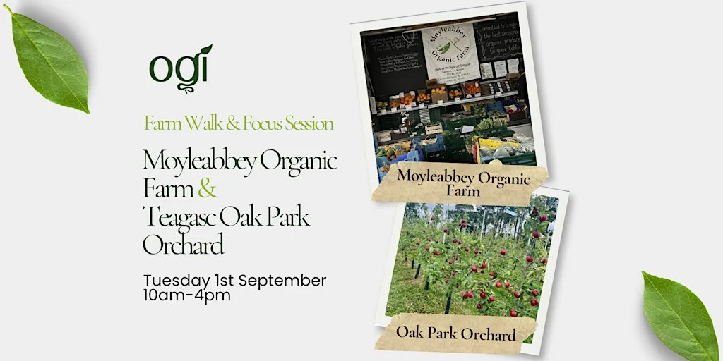 OGI Members Farm Walk & Focus Session - Moyleabbey Farm & Oak Park Orchard at Moyleabbey Organic Farm