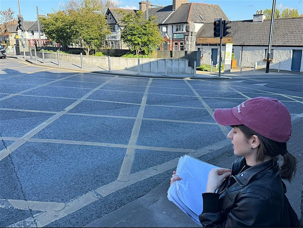 Dublin: Hidden Tallaght - A Journey Through Over 1,000 Years of History at Kingswood