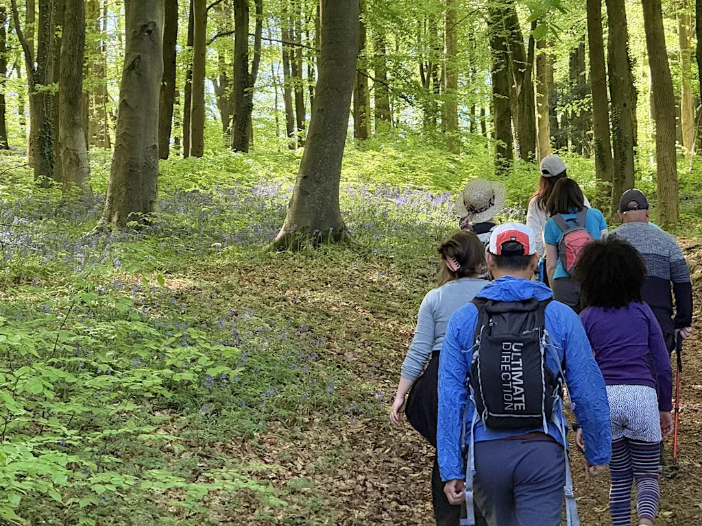 Green Walks (29/8) - Painswick Beacon (Route B) at Painswick Beacon Car Park