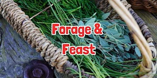 FORAGE & FEAST in Flagg (Derbyshire)