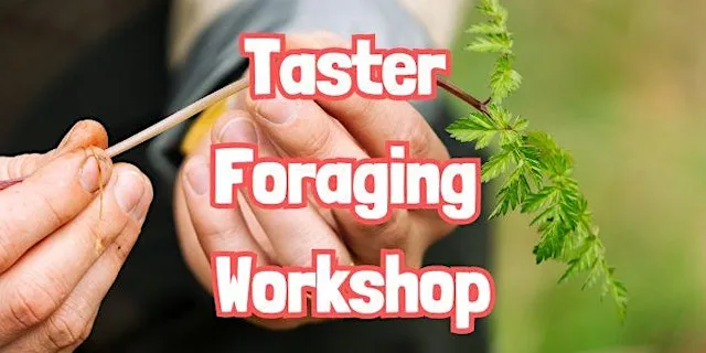 TASTER Foraging Workshop near Castleford (West Yorkshire)