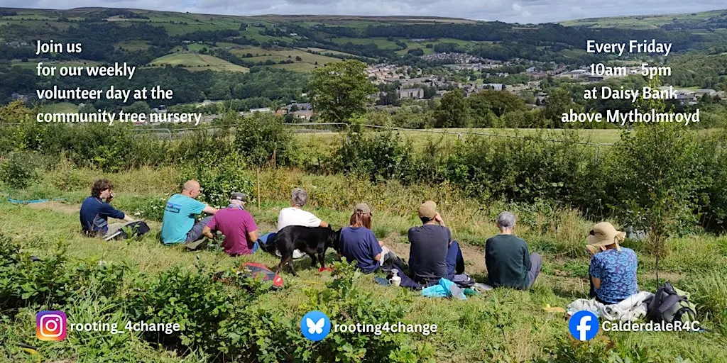 Daisy Bank Community Tree Nursery Volunteer Day