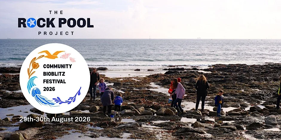 Big Rock Pool Challenge: Community BioBlitz Festival 2026 at Porthpean Outdoor