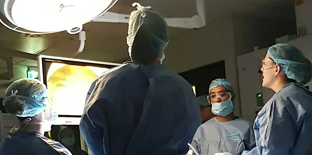 Endoscopic Sinus and Skull Base Surgery (FESS) - 2027 at ASSERT Centre